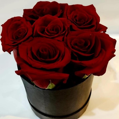 Round box of 6 IMPORTED Roses